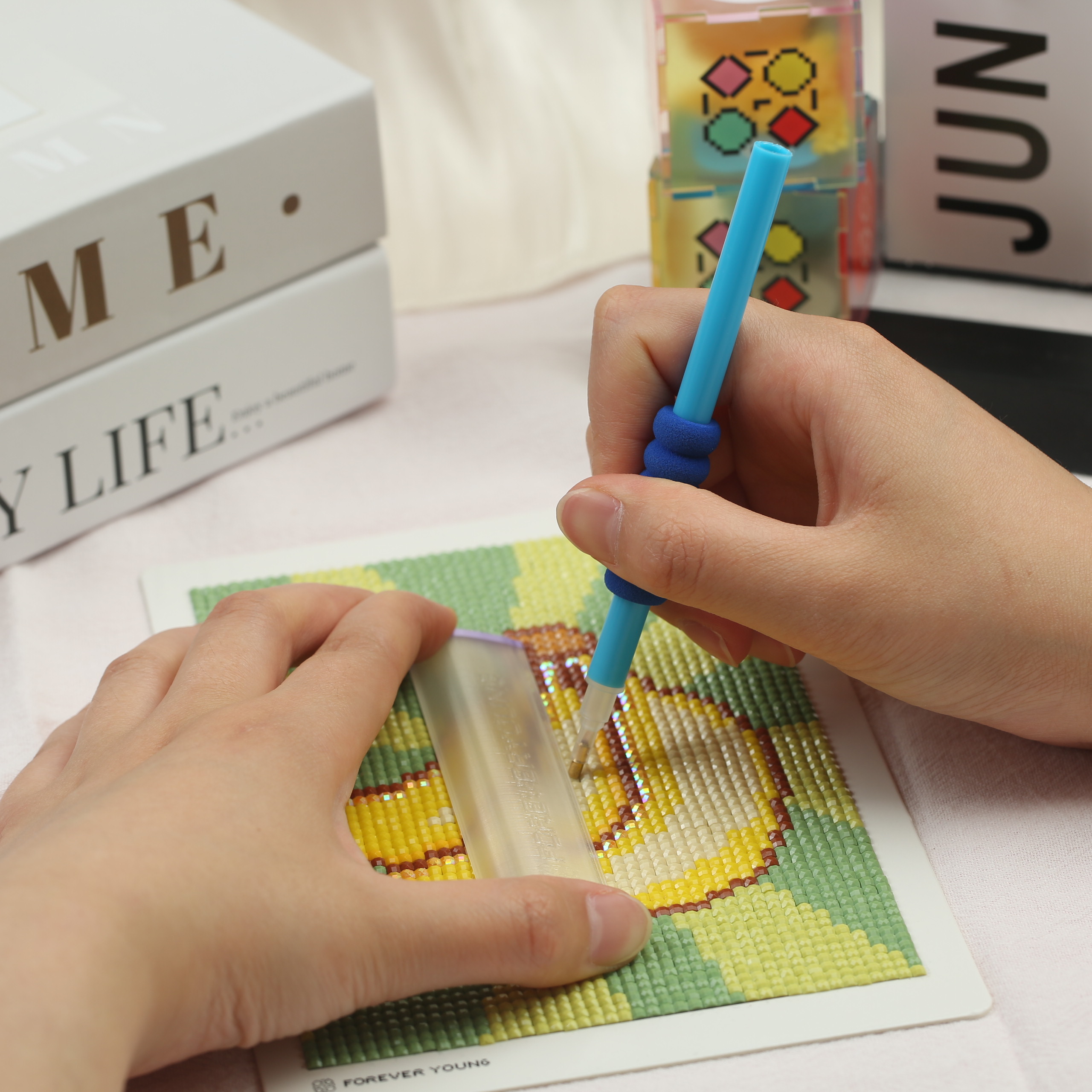 Forever Young Diamond Painting - 3D Printing Ideas recension och pris
